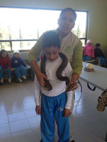 Sin Nombre